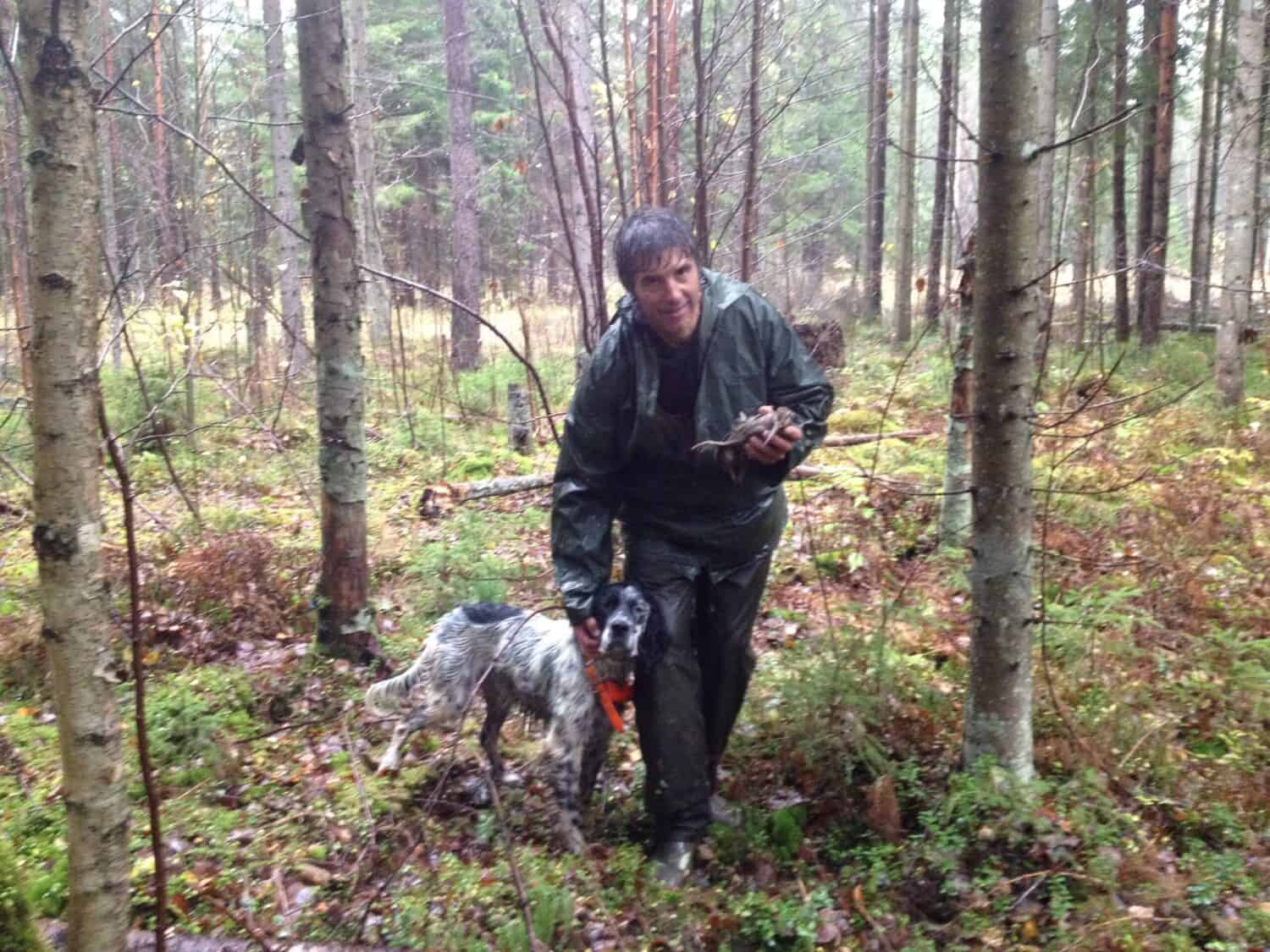 Chien d'arrêt au travail