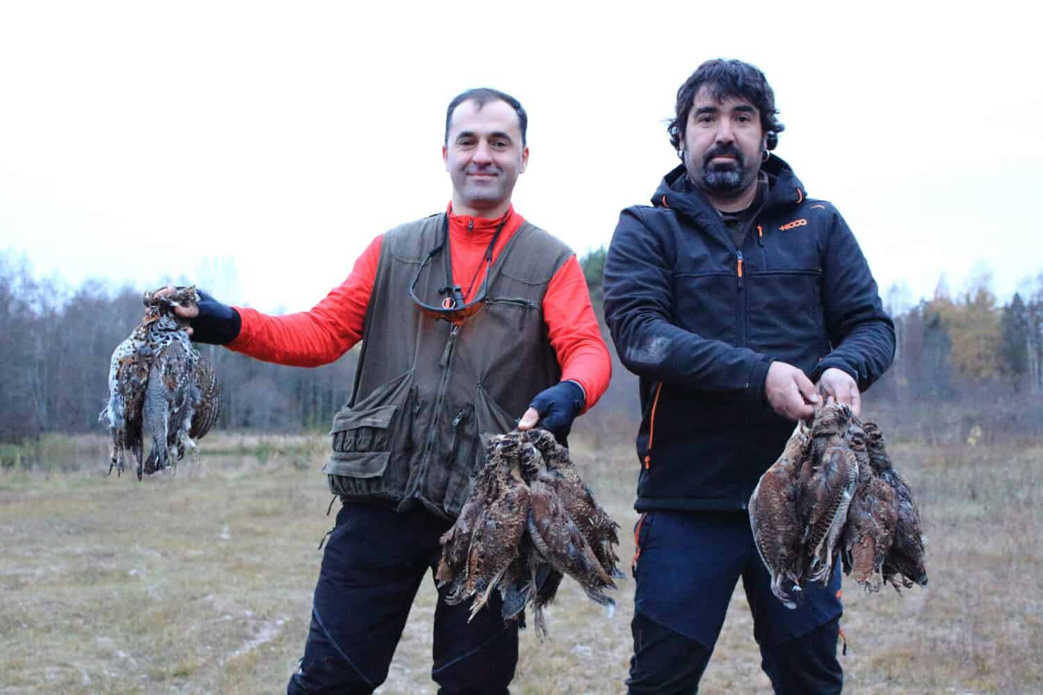 Setter anglais bécasse