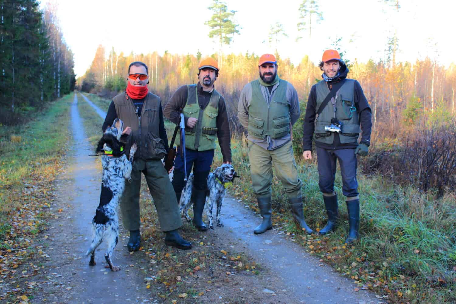 Bécasses prélevées