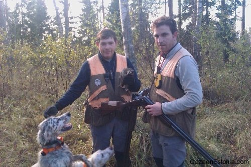 Journée de chasse à la bécasse