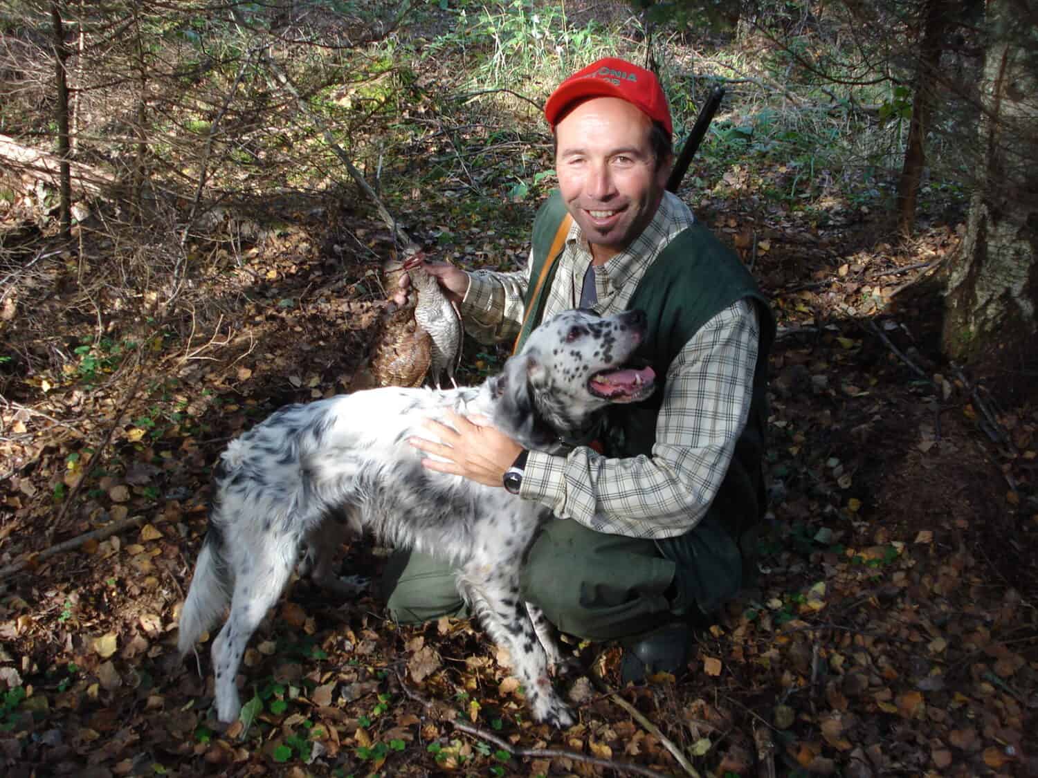 Chasse à la bécasse en Estonie