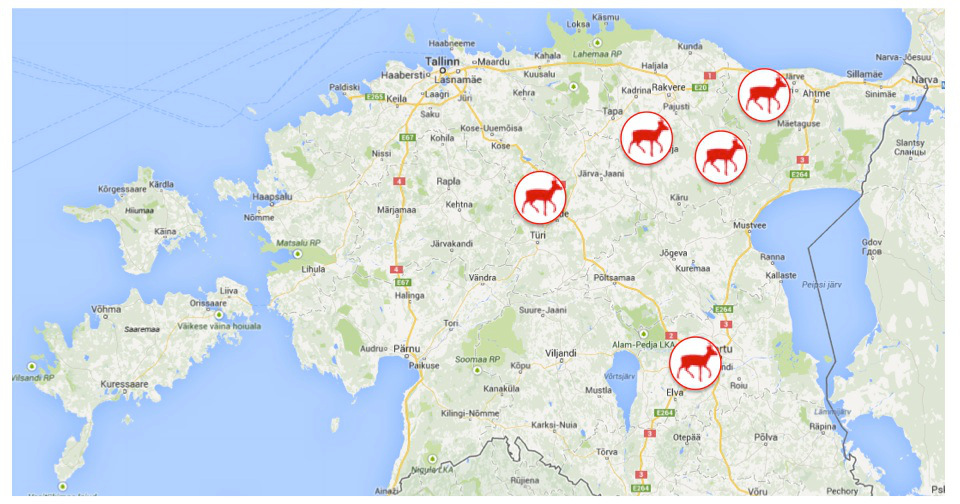 Zones de Chasse du Chevreuil à l’Affût