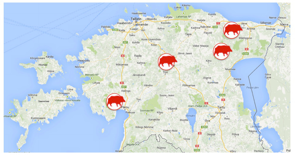 Zones de Chasse au Sanglier en Attente