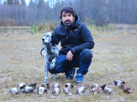 Caza de la Becada con Perro de Muestra