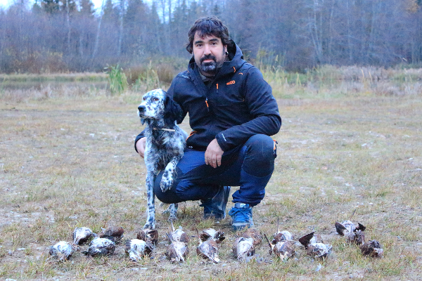 Caza de la Becada con Perro de Muestra